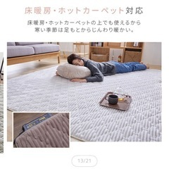 フランネルラグの画像