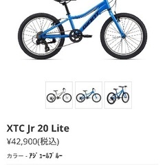 XTC JR 20 LITE giant ジャイアント キッズ 自転車 子ども 20インチ