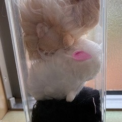 ねこ(ガチャ製品)の画像