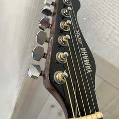 ヤマハ エレアコの画像