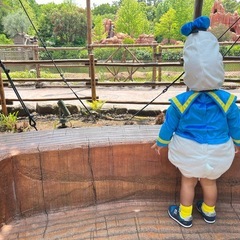 ドナルド着ぐるみの画像