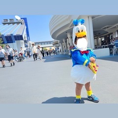 ドナルド着ぐるみの画像