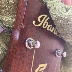 3日間限定値下げ(~12/3)アイバニーズ エレアコの画像