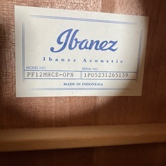 3日間限定値下げ(~12/3)アイバニーズ エレアコの画像