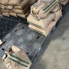 山梨2025産　くず米20kg  受け渡し→五味りんご園直売所の画像