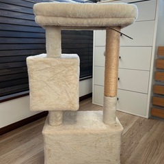 キャットタワー(子猫用)の画像