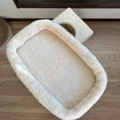 キャットタワー(子猫用)の画像