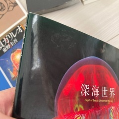 深海世界の画像