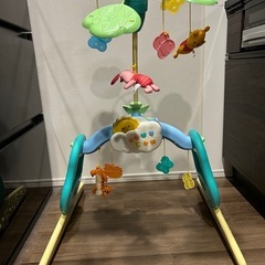 プーメリーの画像