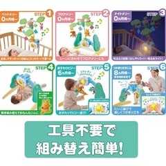 プーメリーの画像