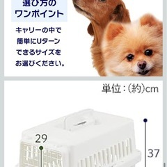 エアトラベルキャリー ペットキャリー 小型犬用 ホワイト54L x 38W x 37H cmの画像
