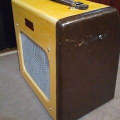 レリック仕様　Fender champion 600の画像