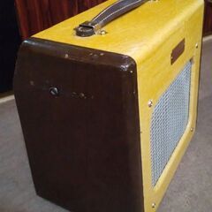 レリック仕様　Fender champion 600の画像