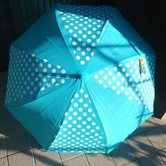 傘　全長83cmの画像