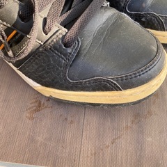 26センチの画像