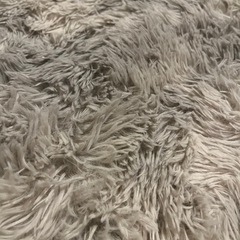 カーペット　グレーの画像
