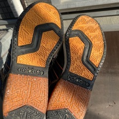 26センチの画像