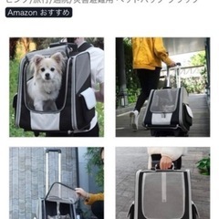 ペット　キャリーバックの画像