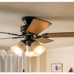 シーリングファンライト/4灯
の画像