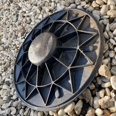 【体幹トレーニングに】バランスディスクの画像