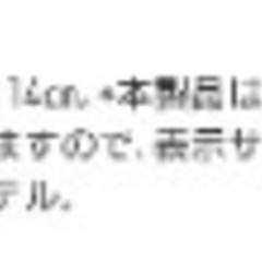 未使用　車用 背もたれクッション　メッシュタイプの画像