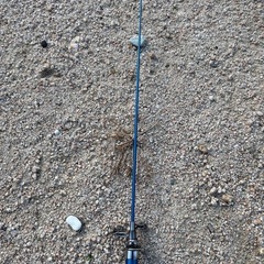 釣竿とリール　ジャンクの画像