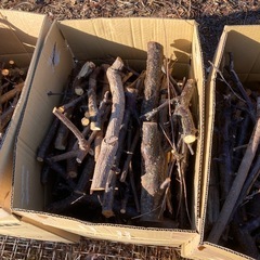 薪　キャンプ　バーベキュー　薪ストーブにの画像