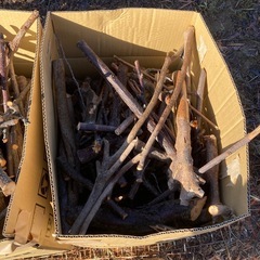 薪　キャンプ　バーベキュー　薪ストーブにの画像