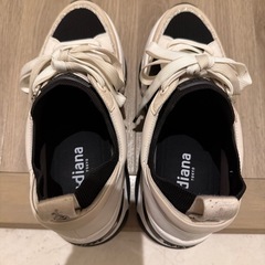 ダイアナ　新作の画像