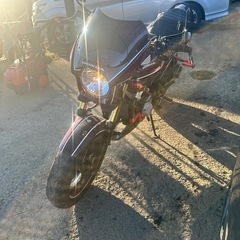 ホーネット250 カスタム の画像