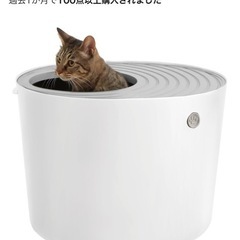 ネコ トイレ②の画像