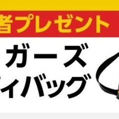 阪神タイガース ジャガーズボディバッグの画像