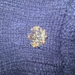 女性用セーターの画像