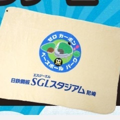 阪神タイガース SGLスタジアム ブランケット エコバッグの画像