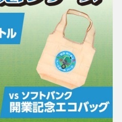 阪神タイガース SGLスタジアム ブランケット エコバッグの画像