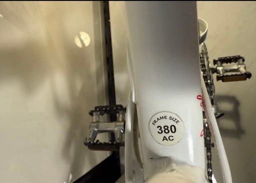 ルイガノ RENA4 ロードバイク 購入 アルミ軽量車カナダ発の人気