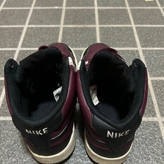 ないきNIKEの画像