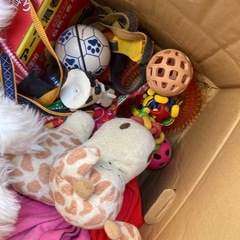 ペット用品まとめての画像