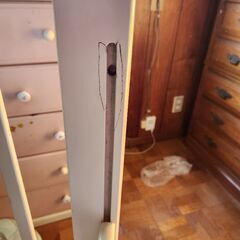 ベビーベット.パウンサーの画像