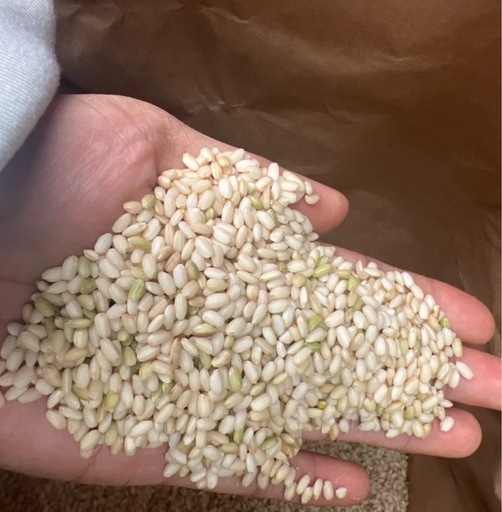 新米　餅米　もち　玄米　30キロ　
