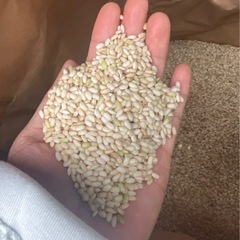 餅米　もち米　新米　玄米　30キロ　①の画像