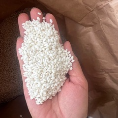 餅米　もち米　新米　玄米　30キロ　①の画像