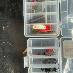 チニングワームなどの画像