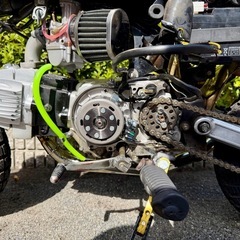 ホンダ ゴールド モンキー リミテッド Z50Jの画像