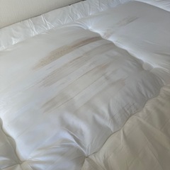 【お譲り先決定】シングル敷布団の画像