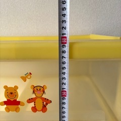 衣装ケース（収納ケース）
の画像