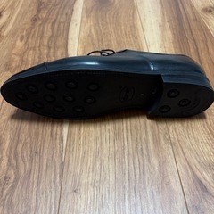 Raymar 革靴の画像