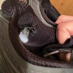 テニスシューズの画像