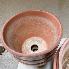 大きめ　植木鉢　5個セットの画像