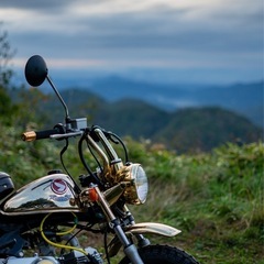 ホンダ ゴールド モンキー リミテッド Z50Jの画像